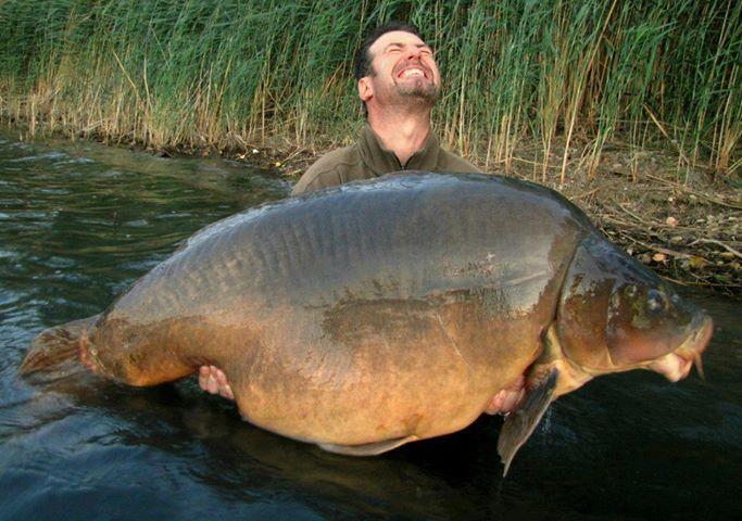 diverse adunate 2 - 536967463215840392108482018545n.jpg